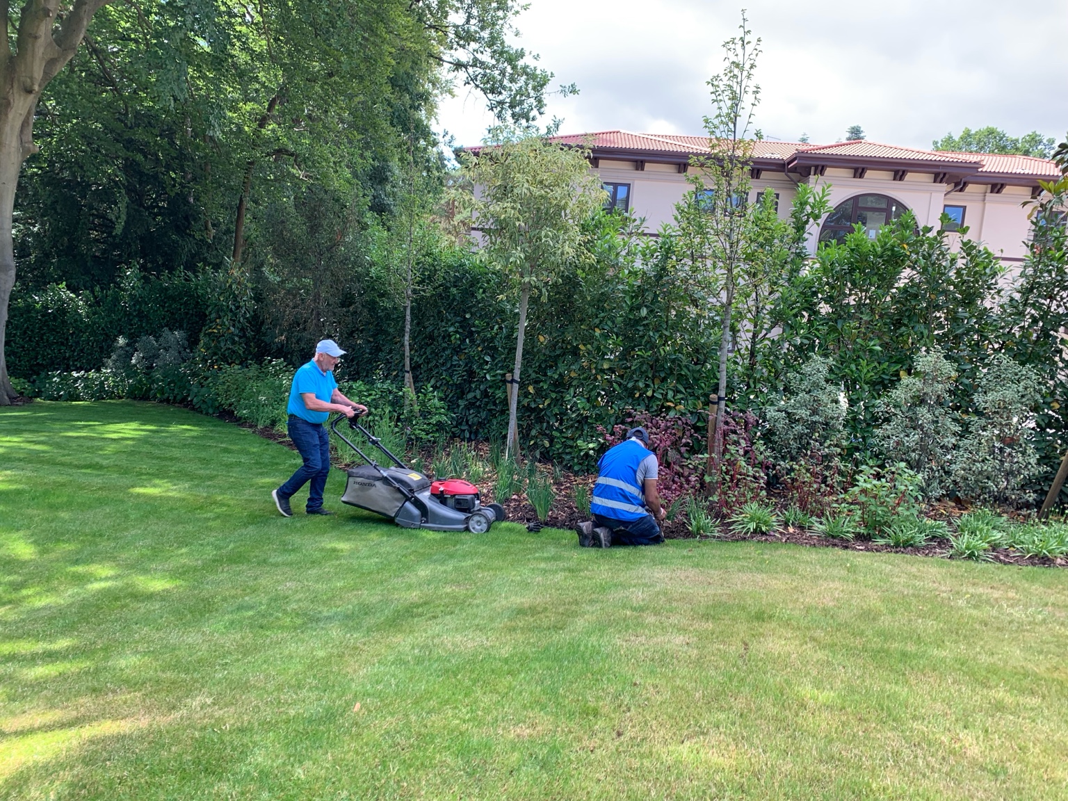 Garden maintenance service